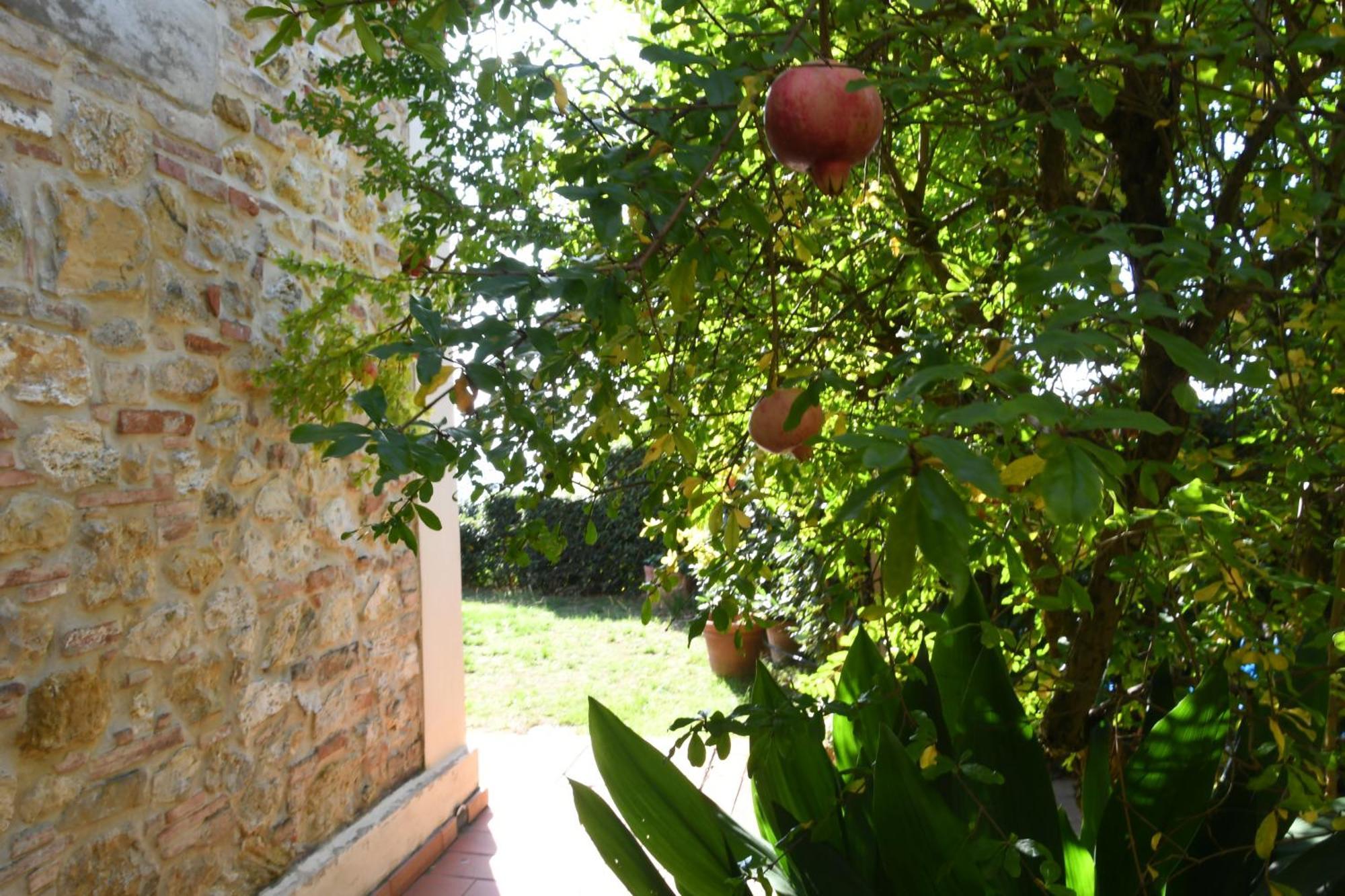 Podere Le Monache مونتايون المظهر الخارجي الصورة